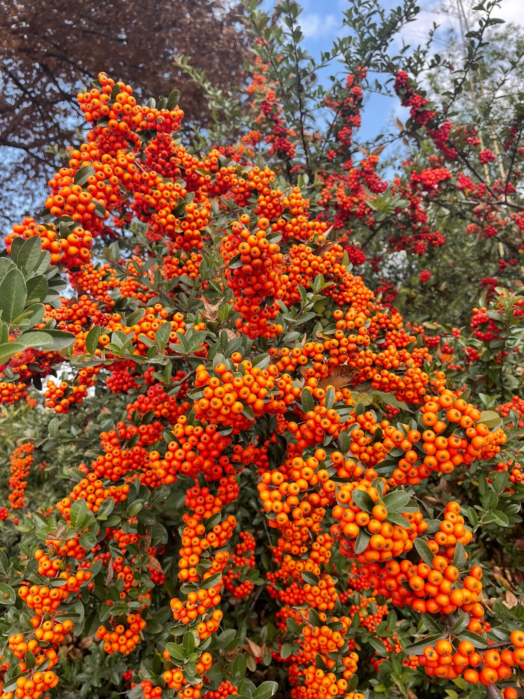 5a915b818ce4485be4c55f1fc4ed0b42_1668389249_1776.jpg 5a915b818ce4485be4c55f1fc4ed0b42_1668389249_1776.jpg